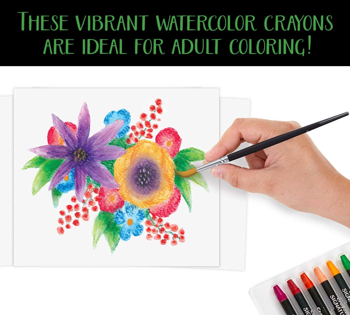 Signature Premium Watercolor Crayons Painting Set - US 3971