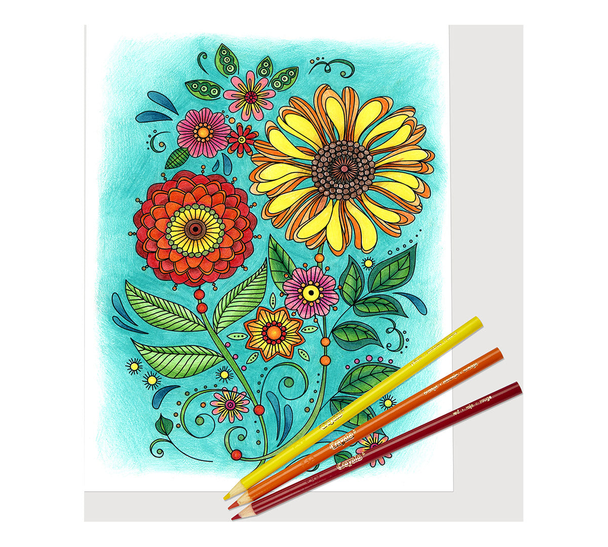Colored Pencils, 50 Count - US 9847